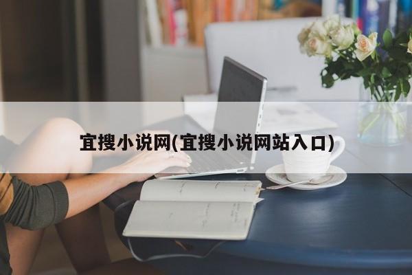 宜搜小说网(宜搜小说网站入口)