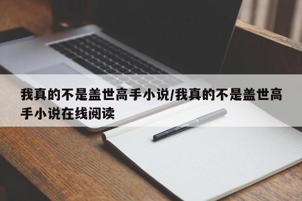 我真的不是盖世高手小说/我真的不是盖世高手小说在线阅读