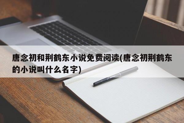 唐念初和荆鹤东小说免费阅读(唐念初荆鹤东的小说叫什么名字)