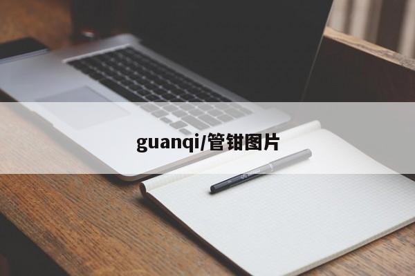 guanqi/管钳图片