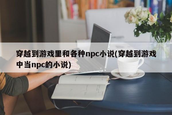 穿越到游戏里和各种npc小说(穿越到游戏中当npc的小说)